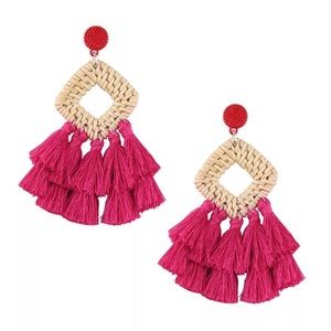 Bamboo wooden earrings NEW